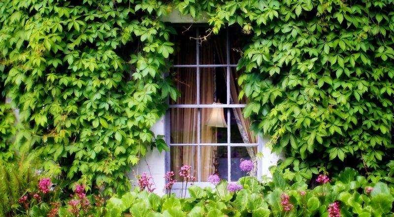 Barberstown Castle Hotel Straffan Luaran gambar